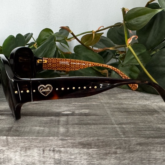 Coach Black Oversized Sunglasses with Glossy Finish - Picture 2 of 5